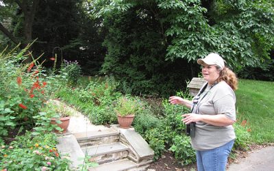 A Visit to Cindy Ahern’s Conservation Garden